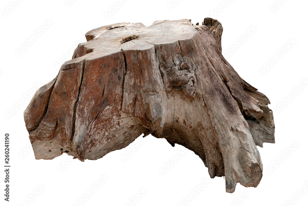Isolate of beautiful timber use for decorating in the aquarium on white background with clipping path. Isolate of beautiful timber use for decorating in the aquarium on white background with clipping path.