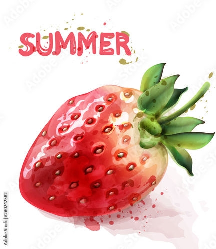 Strawberry isolated Vector watercolor. Fresh fruit summer seasonal cards