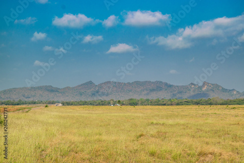 Vast and Empty Landscape