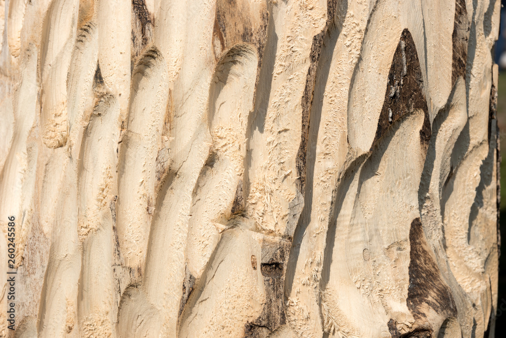 Fototapeta premium Bright wood background. Tree trunk without bark