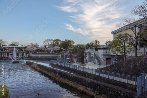 京都ぶらり、神宮道あたりの疎水の桜