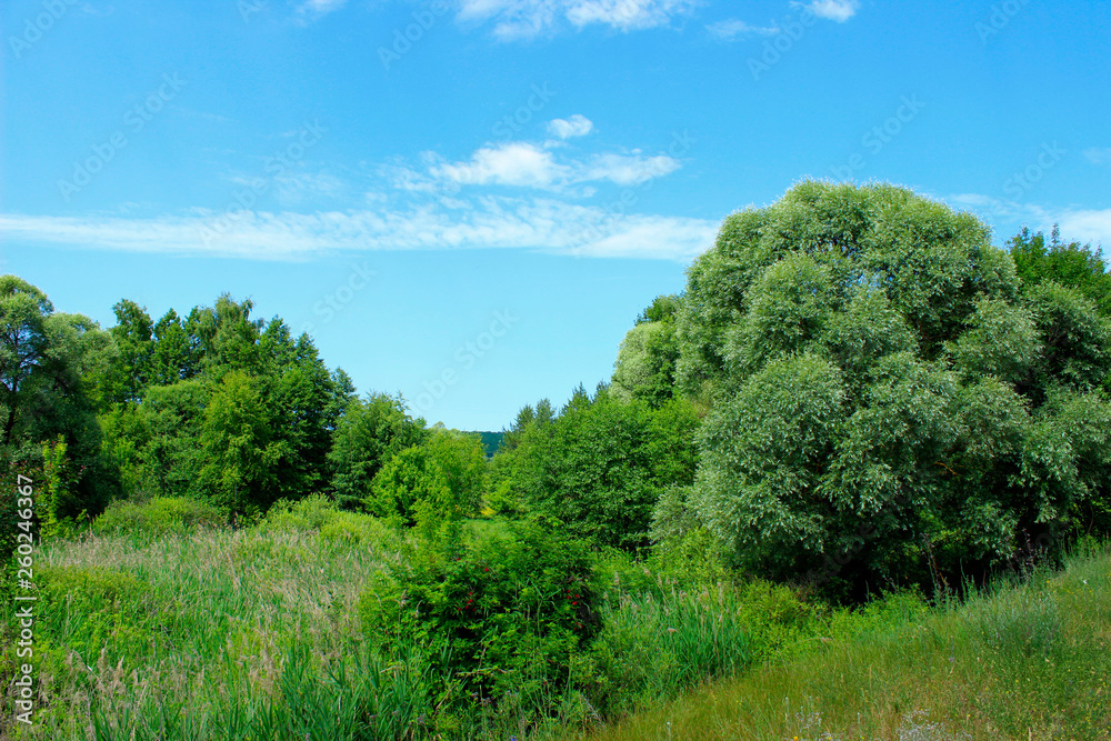 Beautiful Landscape Background.  Green Trees, Meadow Over Blue Sky Background. Landscape Photo - Green Field, Clouds And Blue Sky. Nature, Ecology, Travel Concept.