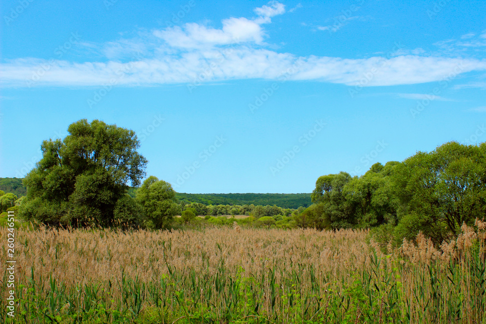 Beautiful Landscape Background. Green Trees, Meadow Over Blue Sky Background. Landscape Photo - Green Field, Clouds And Blue Sky. Nature, Ecology, Travel Concept. Beautiful Landscape Background. Green Trees, Meadow Over Blue Sky Background. Landscape Photo - Green Field, Clouds And Blue Sky. Nature, Ecology, Travel Concept.