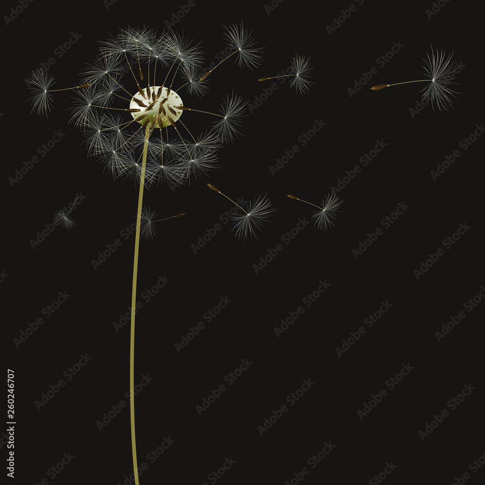 background with dandelions, vector, illustration