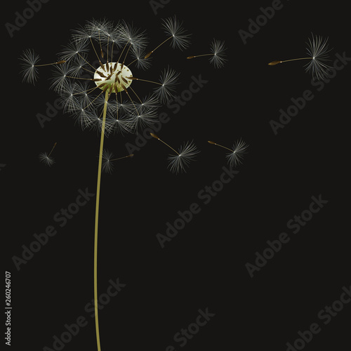 background with dandelions  vector  illustration
