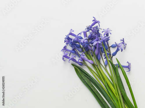 Bouquet of blooming blue hyacinths on white background