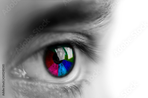 human eye close-up with a multi-colored iris, isolate
