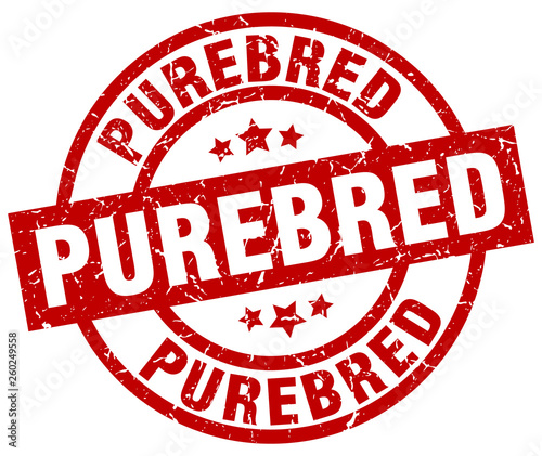 purebred round red grunge stamp