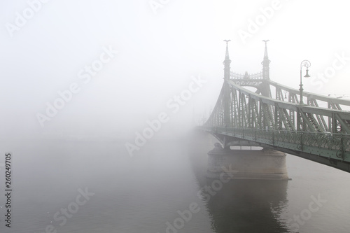 Canvas Print ungarische freiheitsbrücke im nebel