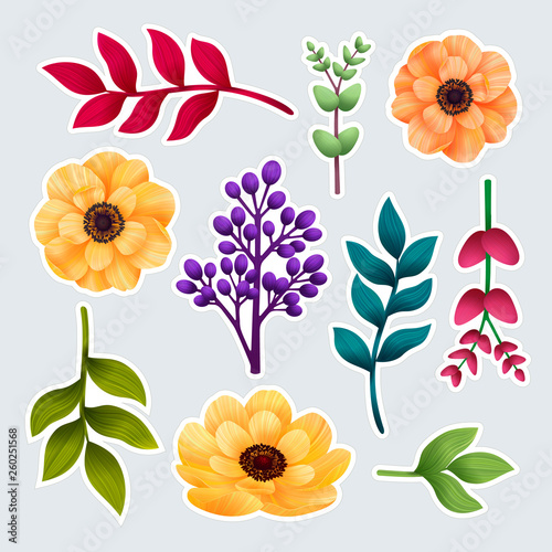 Set of botanic of stickers. Garden and wild foliage, flowers and branches iso...