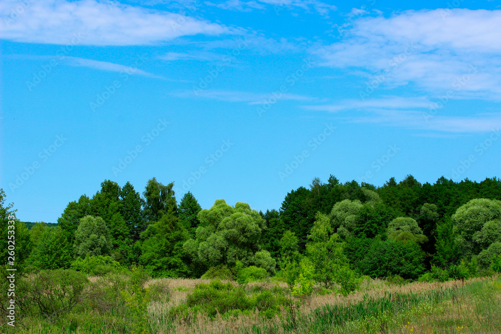 Beautiful Landscape Background.  Green Trees, Meadow Over Blue Sky Background. Landscape Photo - Green Field, Clouds And Blue Sky. Nature, Ecology, Travel Concept.