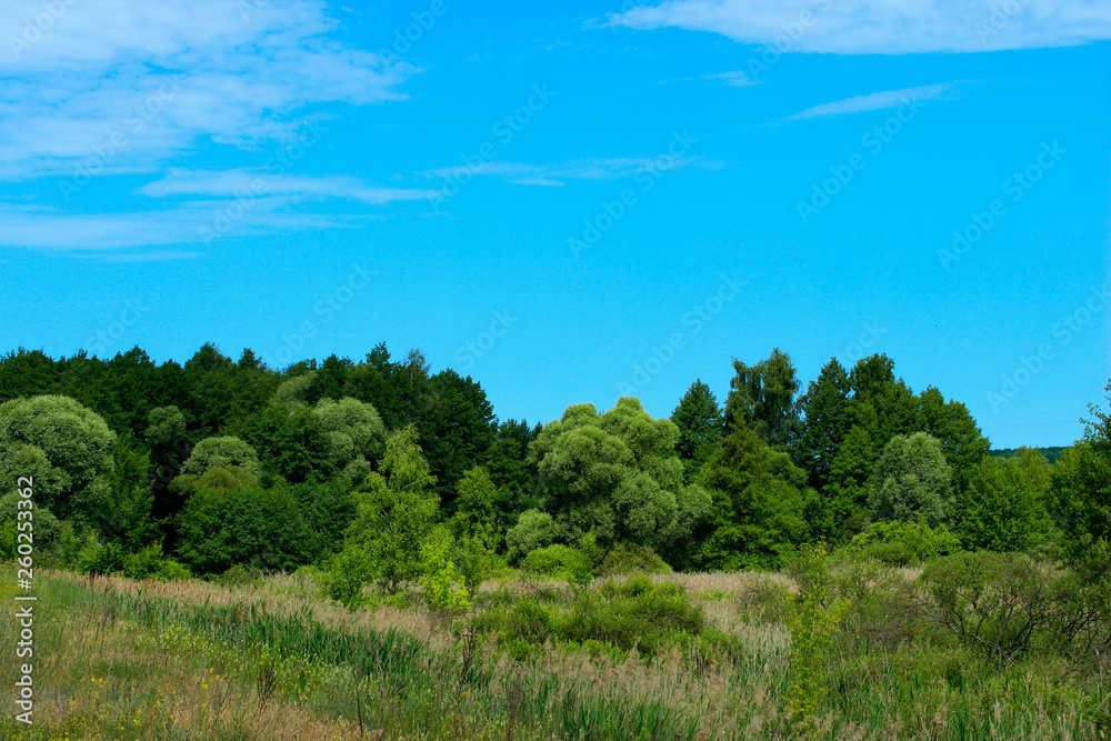 Beautiful Landscape Background.  Green Trees, Meadow Over Blue Sky Background. Landscape Photo - Green Field, Clouds And Blue Sky. Nature, Ecology, Travel Concept.