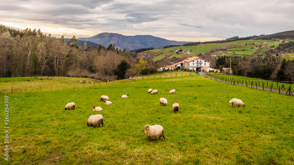 Farm house of the Basque Country with a flock of sheep on a cloudy day Farm house of the Basque Country with a flock of sheep on a cloudy day