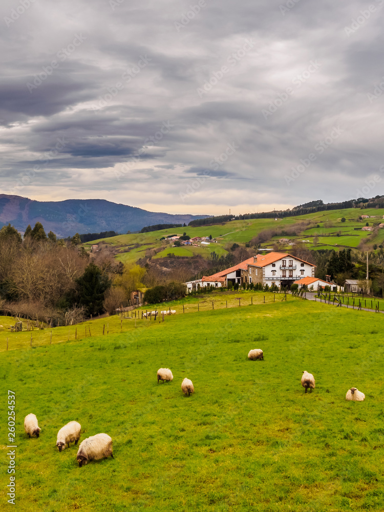 Farm house of the Basque Country with a flock of sheep on a cloudy day Farm house of the Basque Country with a flock of sheep on a cloudy day