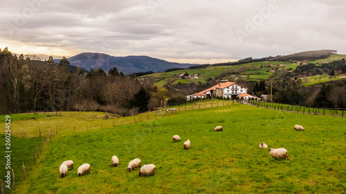 Farm house of the Basque Country with a flock of sheep on a cloudy day