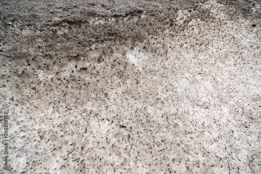 Surface of dirty snow Surface of dirty snow