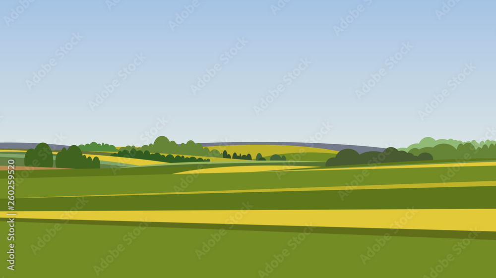 Green landscape with yellow fields. Lovely rural nature. Unlimited space. Vector illustration. - obrazy, fototapety, plakaty 