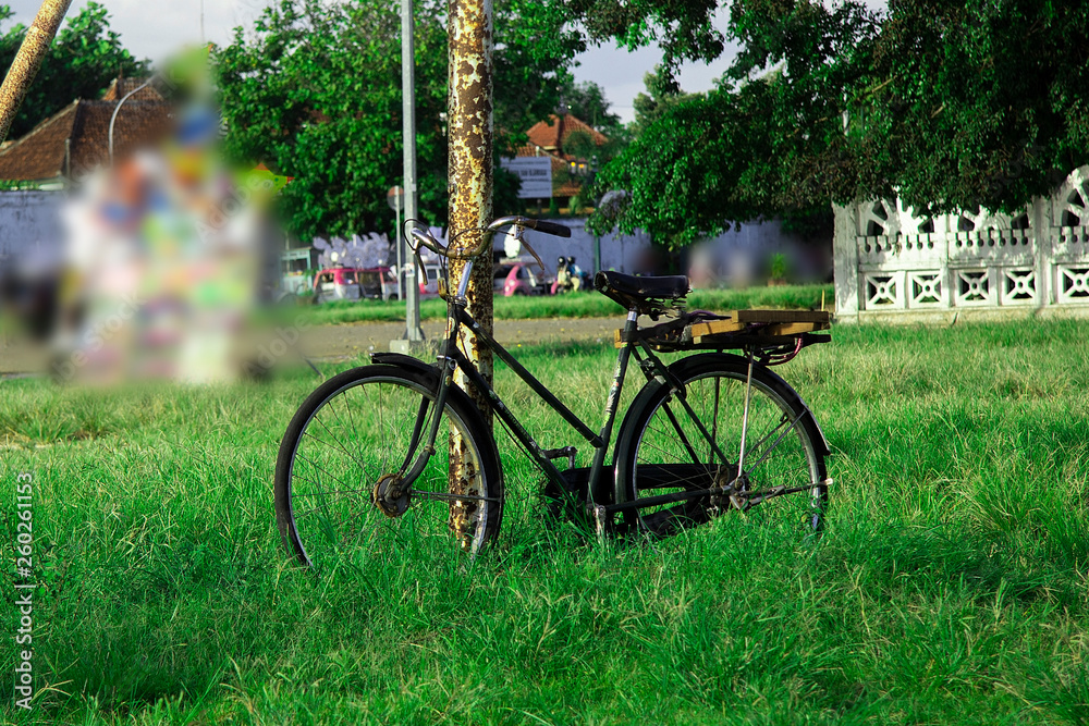 classic bicycle on a green field