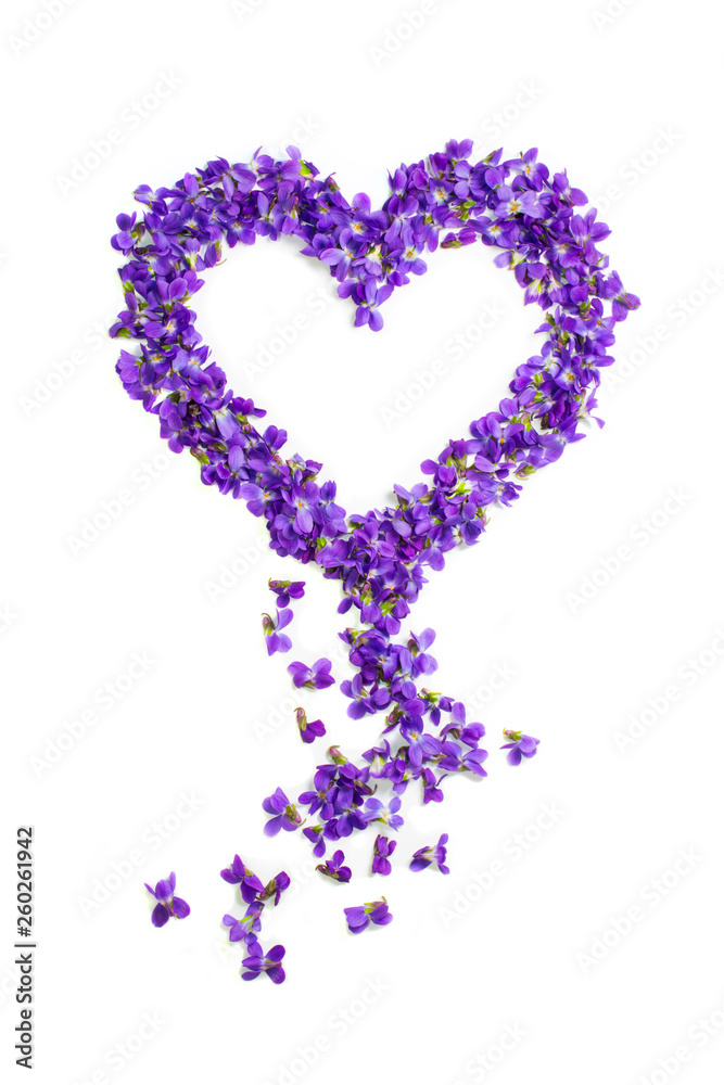 Heart shape flowers. Violets love symbol isolated on white background. Template for greeting card, web design