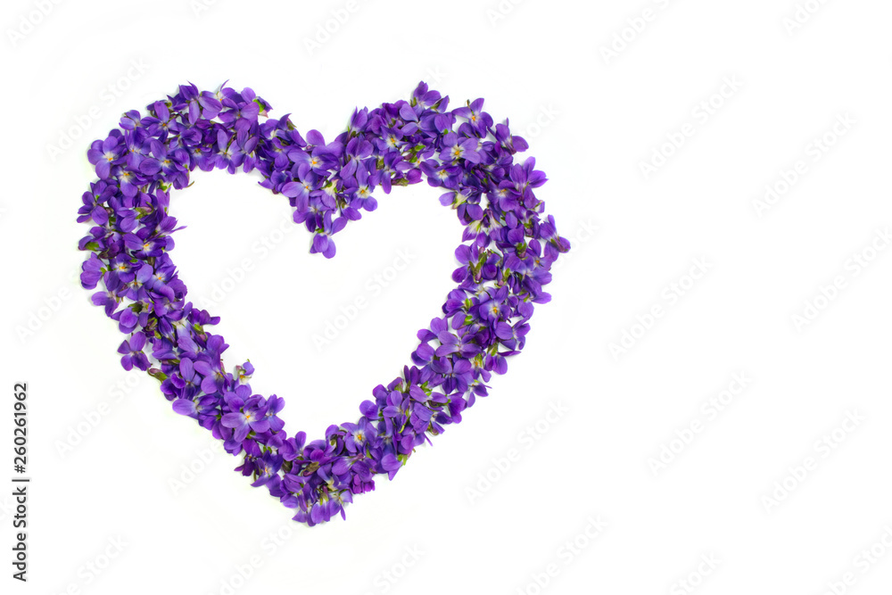 Heart shape flowers. Violets love symbol isolated on white background. Template for greeting card, web design