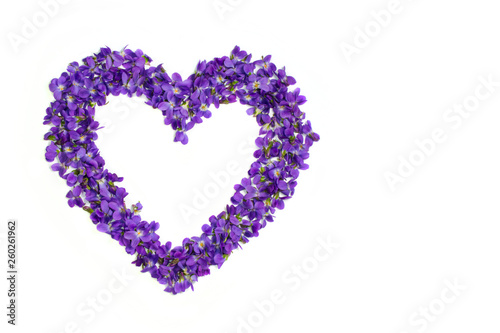 Heart shape flowers. Violets love symbol isolated on white background. Template for greeting card  web design