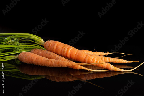 Group of five whole fresh orange carrot with greens isolated on black glass photo