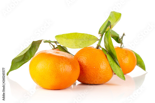 Group of three whole fresh orange mandarine one by one with green leaves isolated on white background