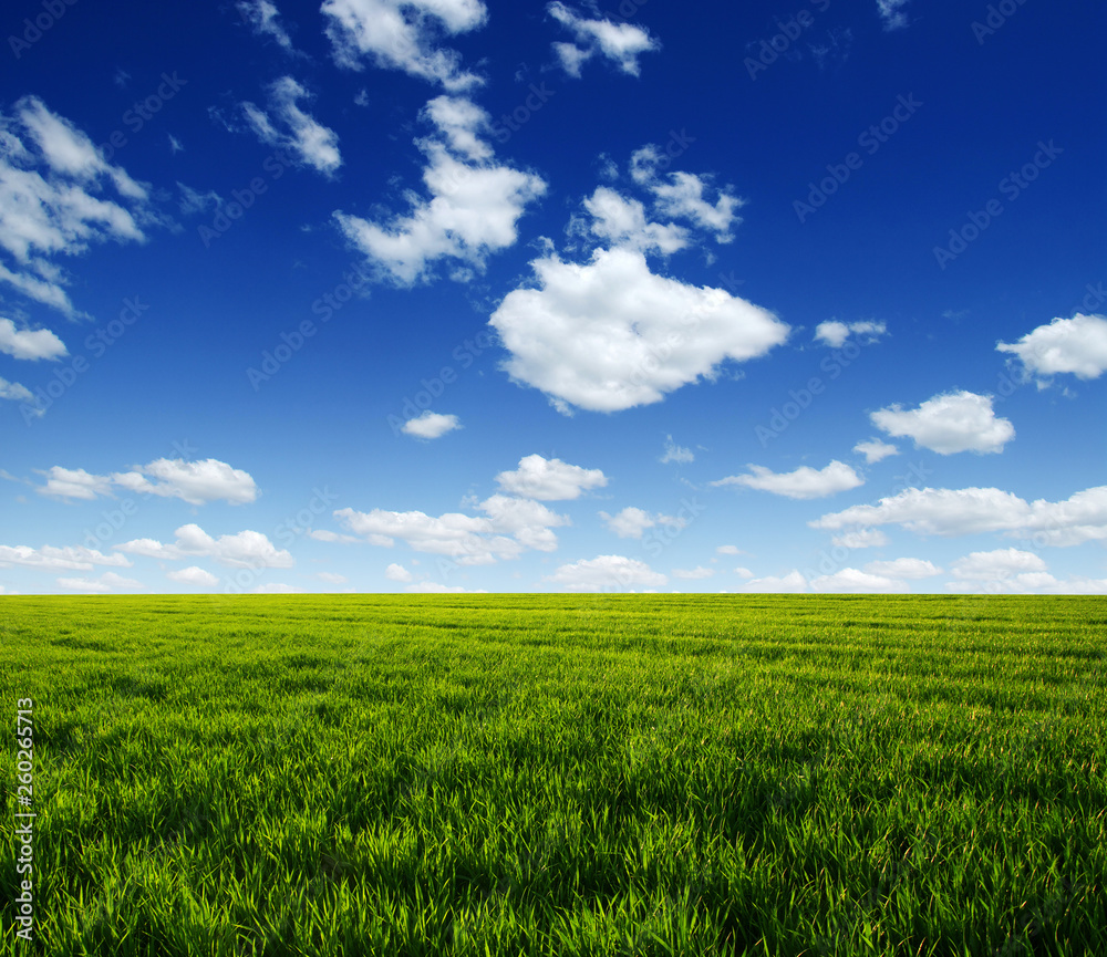 Green field and blue sky