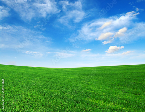 Field and blue sky with white clouds