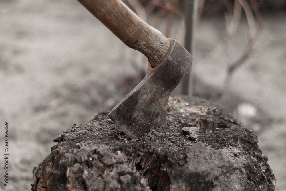 Ax in hemp. Ax sticks out of stump Ax in hemp. Ax sticks out of stump