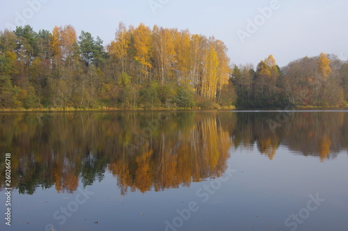 Fototapeta Naklejka Na Ścianę i Meble -  Autumn trees  and reflection in the lake