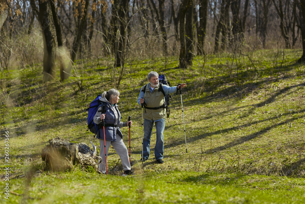 Obraz premium Find the right way in life. Aged family couple of man and woman in tourist outfit walking at green lawn in sunny day near by creek. Concept of tourism, healthy lifestyle, relaxation and togetherness.