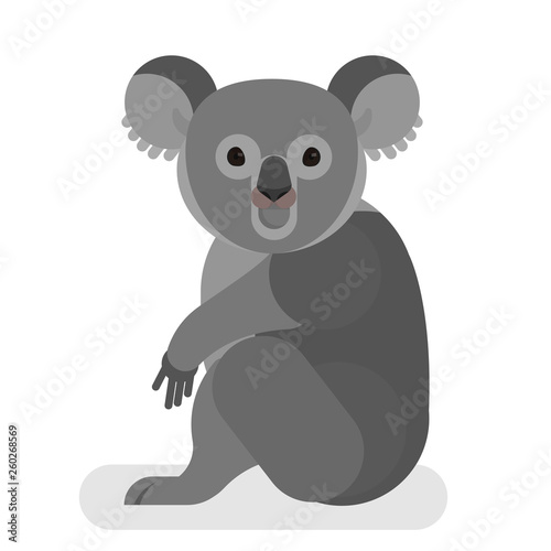 Koala with grey fur