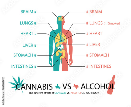 the different effects of cannabis vs alcohol on your body.