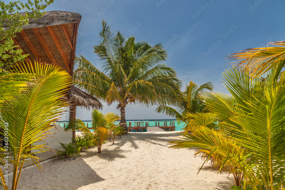 Fototapeta premium Malediven im lhaviyani Atoll