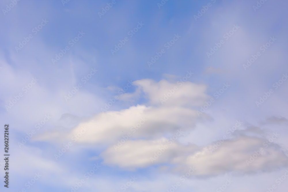 clouds blue sky / background clean blue sky with white clouds concept purity and freshness of nature clouds blue sky / background clean blue sky with white clouds concept purity and freshness of nature