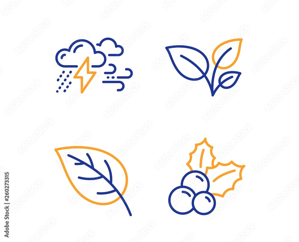 Leaves, Leaf and Bad weather icons simple set. Christmas holly sign. Grow plant, Environmental, Clouds. Ilex aquifolium. Nature set. Linear leaves icon. Colorful design set. Vector Leaves, Leaf and Bad weather icons simple set. Christmas holly sign. Grow plant, Environmental, Clouds. Ilex aquifolium. Nature set. Linear leaves icon. Colorful design set. Vector