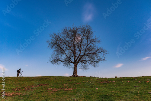 Landscape photographer next to lonely oak tree