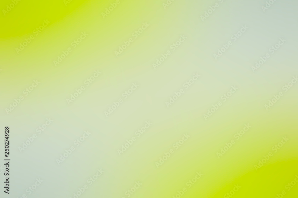 Fototapeta premium green gradient background / abstract blurry fresh green background