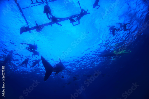 boat people dive underwater / abstract view, underwater landscape, boat and snorkeling people