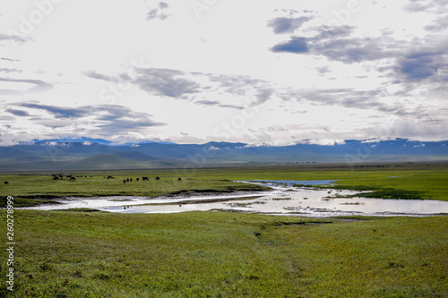 Landscape with animal in Ngorongoro Tanzania © JoseAntonio