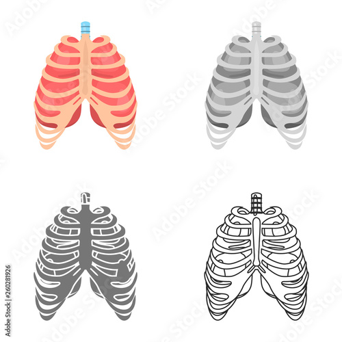 Human ribs and lungs colored flat, line, simple and monochrome icon set