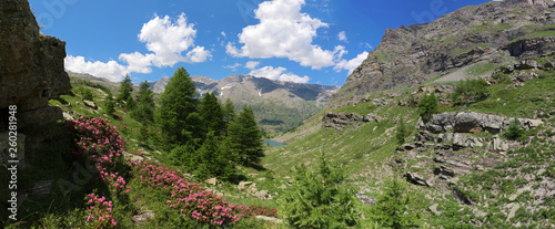 LAC DE FANGEAS. AU DEPART DE DORMILLOUSE. VALLEE DE FRESSINIERES. F05.