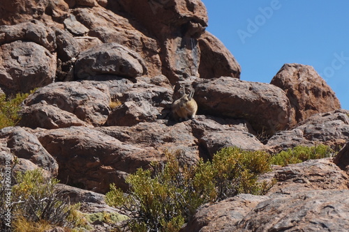 Wallpaper Mural Highland Lakes - Sud Lipez - Bolivia Torontodigital.ca