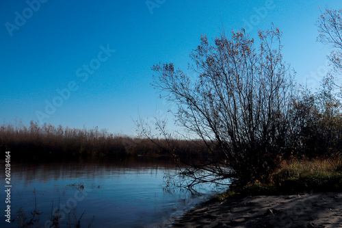 Wallpaper Mural Autumn day in Arkhangelsk. Island Krasnoflotsky. the reflection in the water Torontodigital.ca