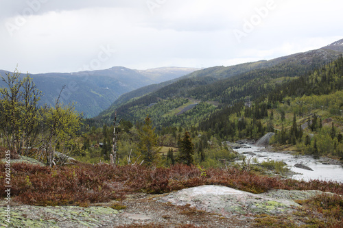 Tundra landscape in Norway