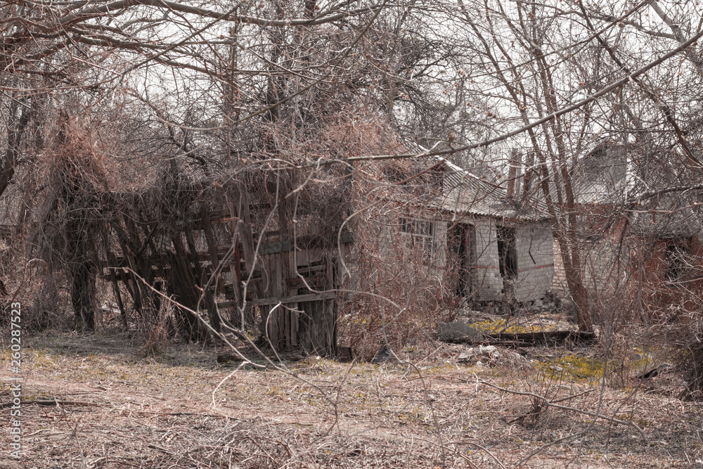 Ruined house behind an old wooden fence covered in thickets Ruined house behind an old wooden fence covered in thickets