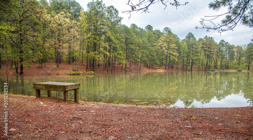 Fototapeta Naklejka Na Ścianę i Meble -  bench in the park overlooking the beauty of the lake surrounded by trees. Conners Park, Little Rock, Arkansas, USA