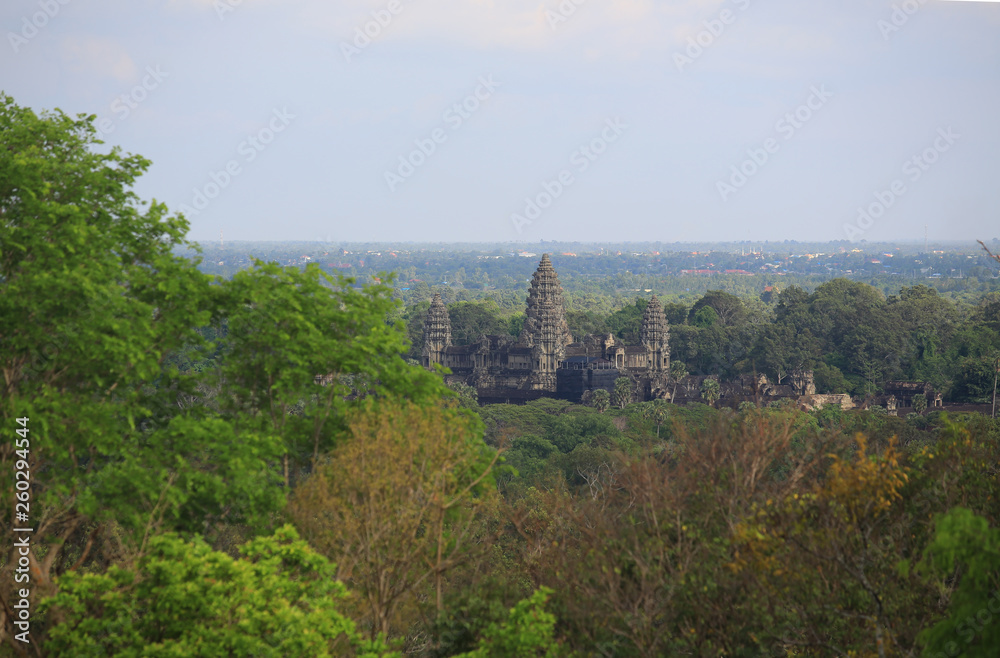 angkor wat in the forest