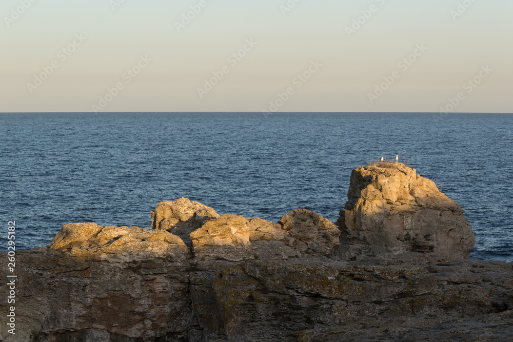 Dramatic landscape of a rock at Black sea coast with two seagulls standing on it.